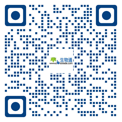 问鼎h5